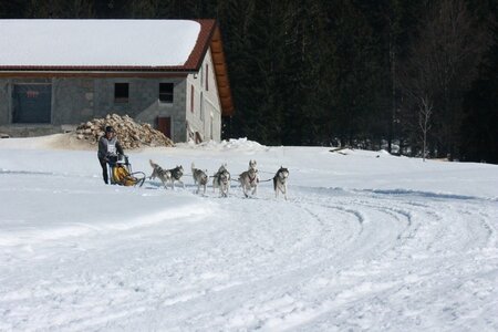 La Pesse 2014  Course de chiens de traineau  (dimanche 09/03/2014), IMG_5105