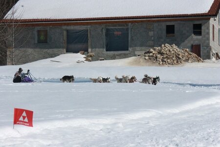 La Pesse 2014  Course de chiens de traineau  (dimanche 09/03/2014), IMG_5116