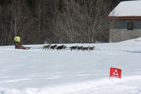 La Pesse 2014  Course de chiens de traineau  (dimanche 09/03/2014), IMG_5128