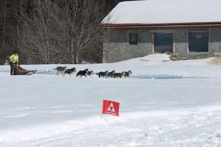 La Pesse 2014  Course de chiens de traineau  (dimanche 09/03/2014), IMG_5129