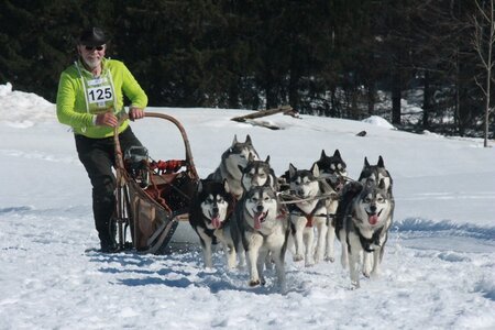 La Pesse 2014  Course de chiens de traineau  (dimanche 09/03/2014), IMG_5132