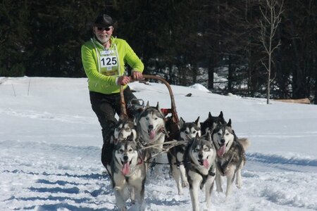 La Pesse 2014  Course de chiens de traineau  (dimanche 09/03/2014), IMG_5133