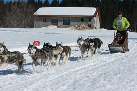 La Pesse 2014  Course de chiens de traineau  (dimanche 09/03/2014), IMG_5137