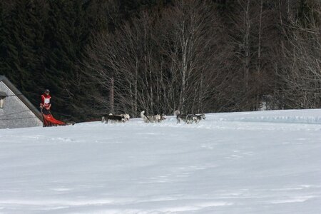 La Pesse 2014  Course de chiens de traineau  (dimanche 09/03/2014), IMG_5140