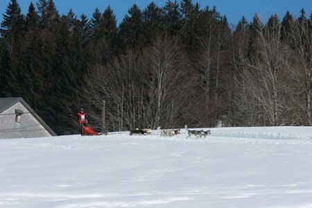 La Pesse 2014  Course de chiens de traineau  (dimanche 09/03/2014), IMG_5141