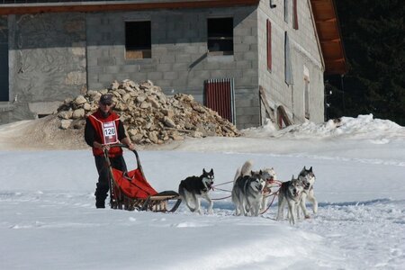 La Pesse 2014  Course de chiens de traineau  (dimanche 09/03/2014), IMG_5144