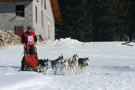 La Pesse 2014  Course de chiens de traineau  (dimanche 09/03/2014), IMG_5145