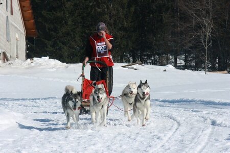 La Pesse 2014  Course de chiens de traineau  (dimanche 09/03/2014), IMG_5148