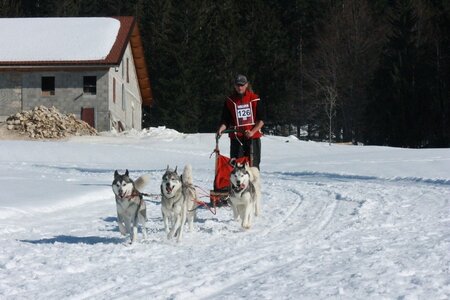 La Pesse 2014  Course de chiens de traineau  (dimanche 09/03/2014), IMG_5150