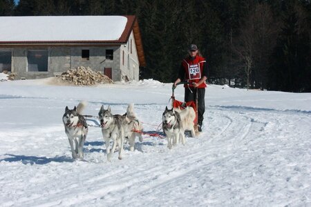 La Pesse 2014  Course de chiens de traineau  (dimanche 09/03/2014), IMG_5151