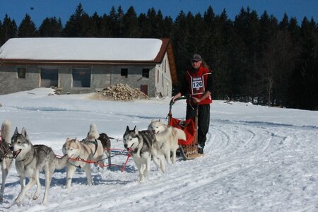 La Pesse 2014  Course de chiens de traineau  (dimanche 09/03/2014), IMG_5152