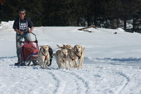 La Pesse 2014  Course de chiens de traineau  (dimanche 09/03/2014), IMG_5157
