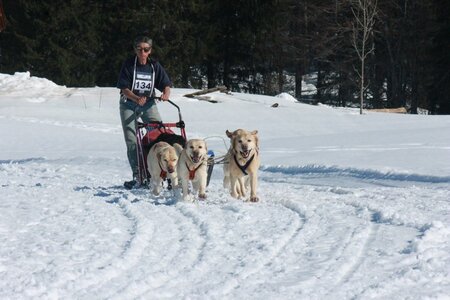 La Pesse 2014  Course de chiens de traineau  (dimanche 09/03/2014), IMG_5158