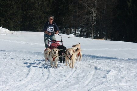 La Pesse 2014  Course de chiens de traineau  (dimanche 09/03/2014), IMG_5159