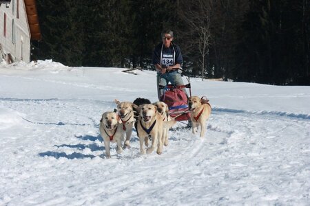 La Pesse 2014  Course de chiens de traineau  (dimanche 09/03/2014), IMG_5160