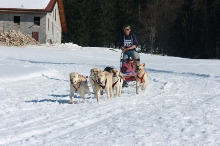 La Pesse 2014  Course de chiens de traineau  (dimanche 09/03/2014), IMG_5161