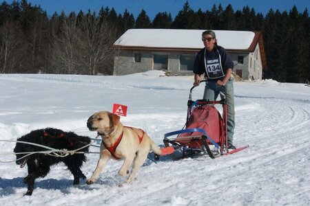 La Pesse 2014  Course de chiens de traineau  (dimanche 09/03/2014), IMG_5164