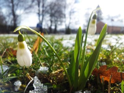 Nature photography 2014 , 523608_675799342458154_1874665427_n