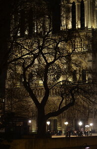 25 - Paris by night, Notre-Dame