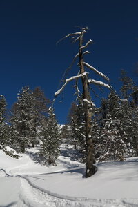 2014-02-24-27-ski-traversee-alpes-ski, escalade-aventure-ski-traversee-alpes-2014-02-27-61