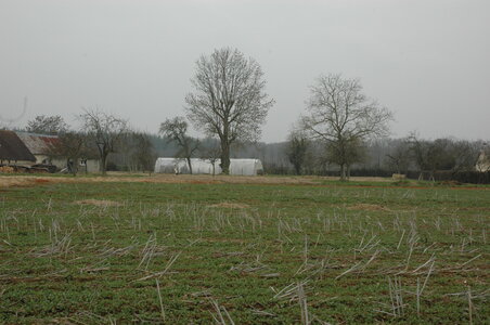 couvert résurection, 1