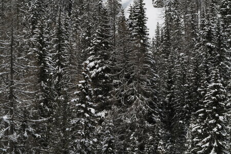 2014-03-02-07-ski-dolomites, alpes-aventure-ski-dolomites-prati-di-camera-2014-03-04-24