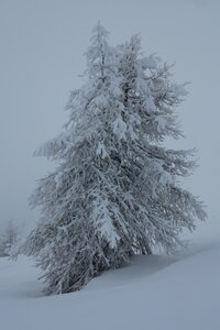 2014-03-21.22-ski-grand-briançonnais, 2014-03-23-ski-escalade-aventure-puy-saint-vincent-022