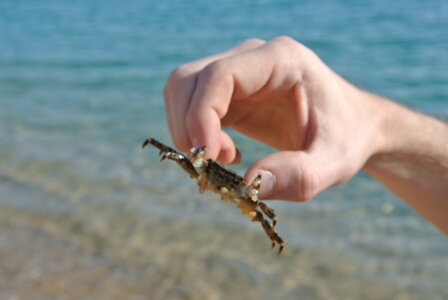 Espagne, DSC_3513