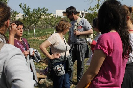 Visite Mas des Moulins 5 avril 2014, IMG_0710