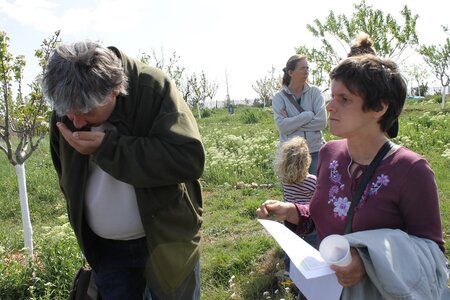 Visite Mas des Moulins 5 avril 2014, IMG_0746