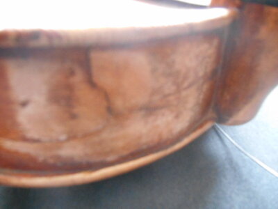 violons, 042