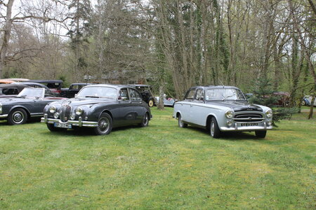 [14-1] - Le printemps en Sologne - Dimanche 6 avril 2014, Le printemps en Sologne - Dimanche 6 avril 2014