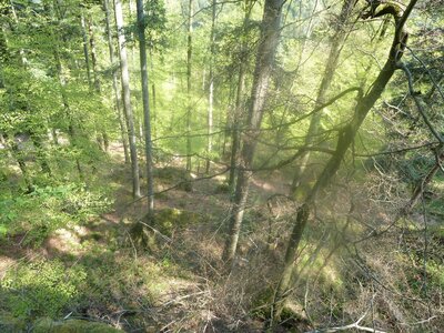 OVS - VTT Ruine Chateau Bilstein le 13.04.2014, P1030268