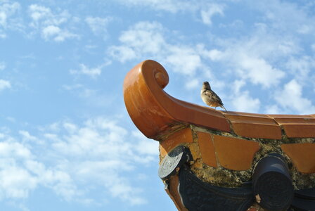 Port Aventura <3, DSC_3781