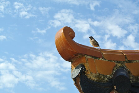 Port Aventura <3, DSC_3782