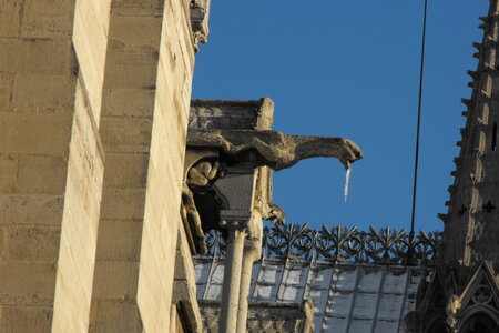 Paris, Notre - Dame  24 