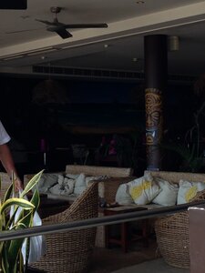 Australia 2013, 203_Bilpin  2 