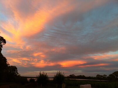 Australia 2013, 207_Bilpin  9 
