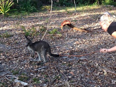 Australia 2013, 210_Jervis Bay  23 
