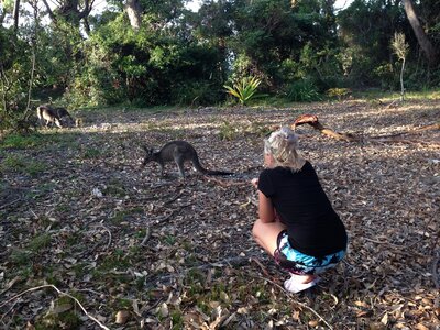 Australia 2013, 210_Jervis Bay  25 