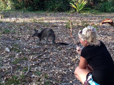 Australia 2013, 210_Jervis Bay  24 