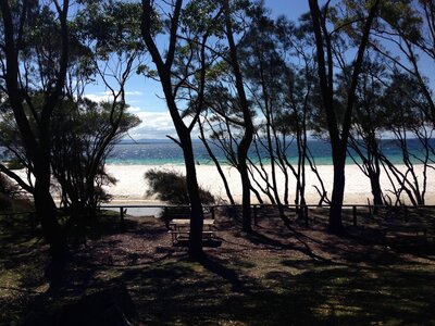 Australia 2013, 210_Jervis Bay  54 