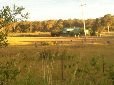 Australia 2013, 210_Jervis Bay  33 