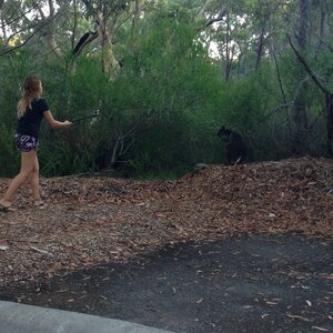Australia 2013, 210_Jervis Bay  40 