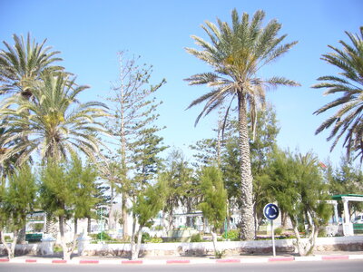 Maroc 2013, P1010222
