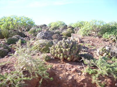 Maroc 2013, P1010235