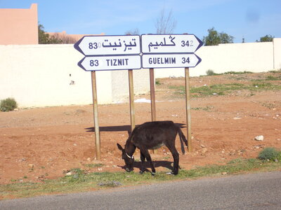 Maroc 2013, P1010238