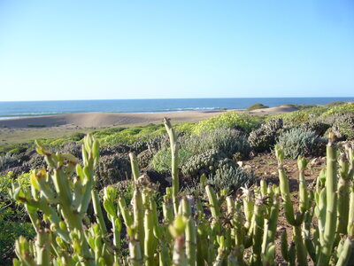 Maroc 2013, P1010801