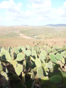Maroc 2013, P1010880