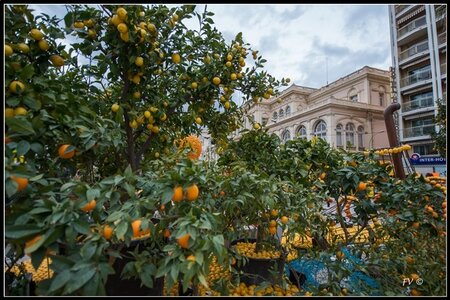 Festival Nenton 2014, 2014_02_Menton_06-63_GF